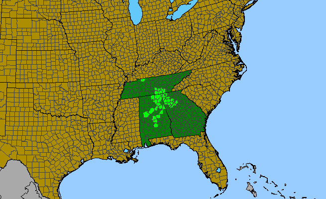 The range of Vernonia flaccidifolia